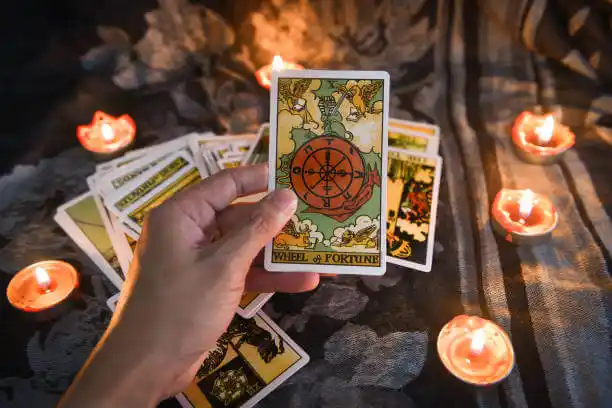 tarot cards Pioneer